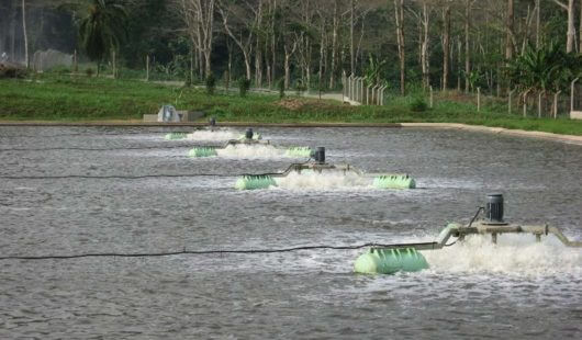 AeroStar Belüfter im Abwasserteich einer Kläranlage in der Elfenbeinküste