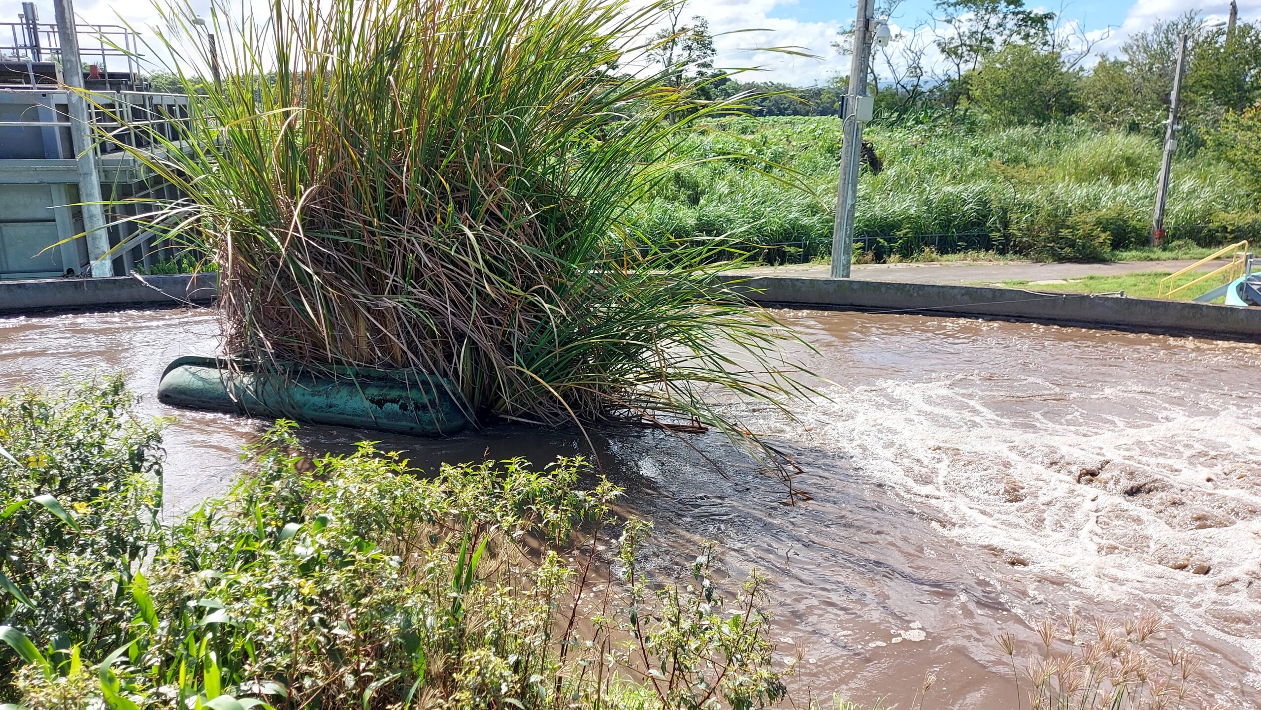 A hidden FUCHS aerator
