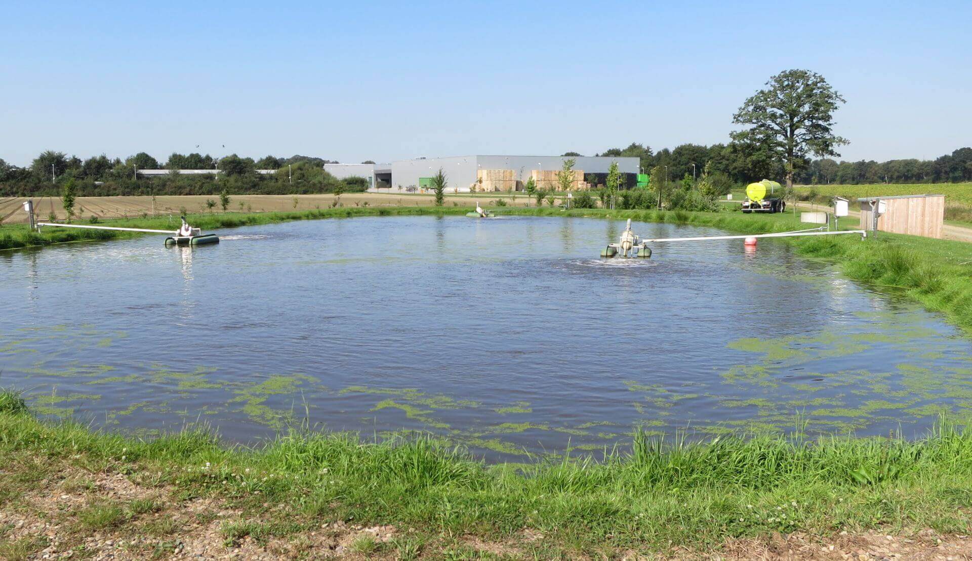 Lagunas aireadas en un mercado mayorista de frutas y verduras