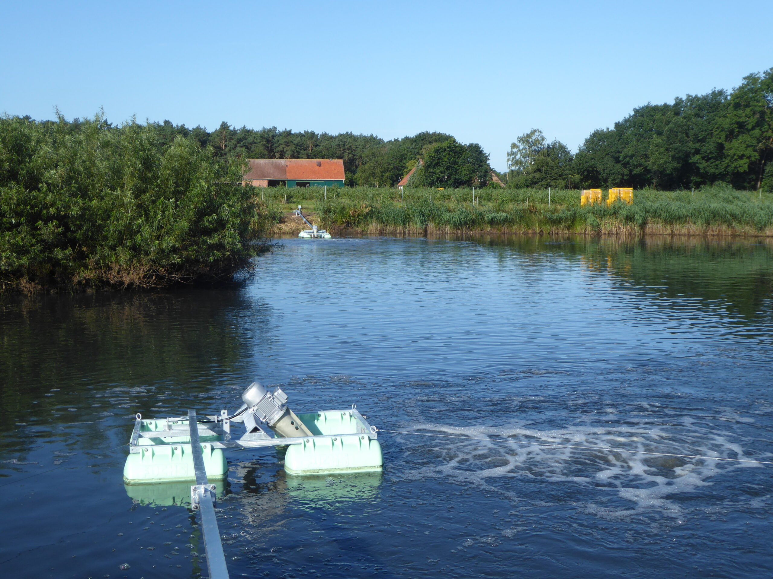 Lagoas de irrigação para frutos silvestres